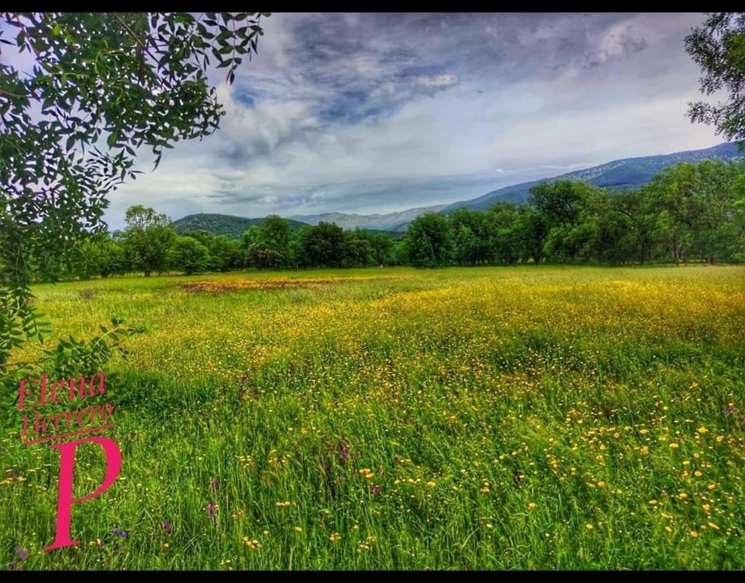 El Rincon De Los Lanchares ซอติโญ เดลา อดราดา ภายนอก รูปภาพ